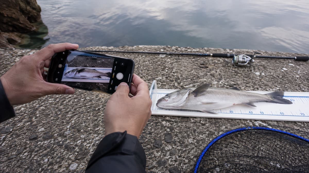 釣果写真の撮り方｜魚をきれいに見せる構図・光・安全な撮影方法